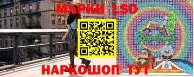 гашик Будённовск