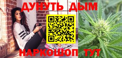 гашик Будённовск