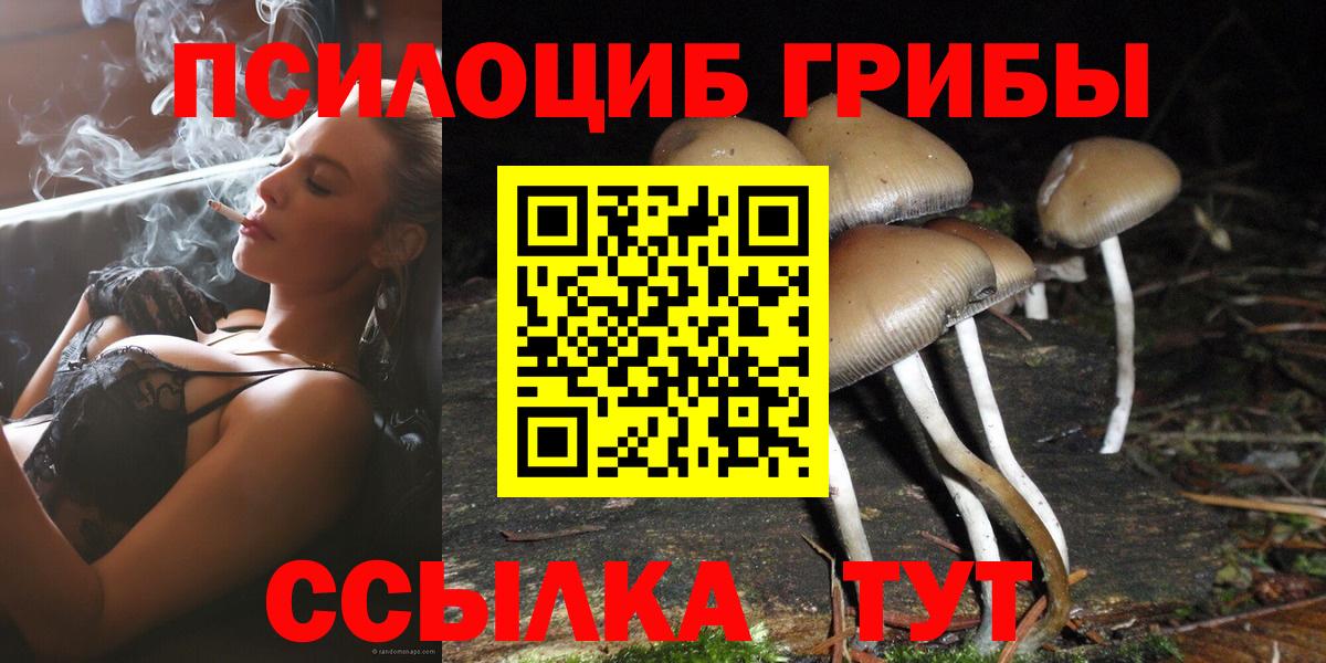 Ступино  Псилоцибиновые грибы MAGIC MUSHROOMS  Вход с VPN  Галлюциногенные грибы прущие грибы 