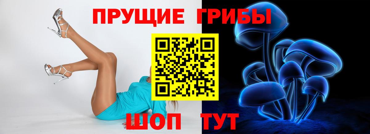 Галлюциногенные грибы Psilocybe Ступино